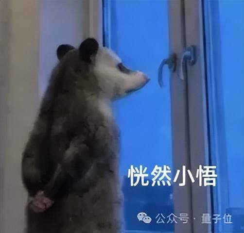 辽篮敲定大外援,段瑞琪加盟,赵继伟迎新搭档,王岚嵚去向明朗
